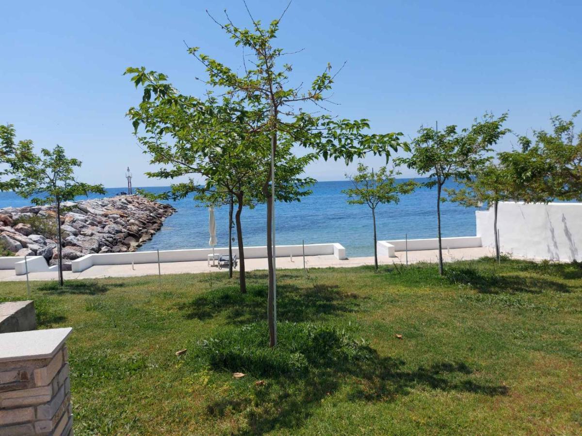 Pansion Alexandros By The Sea Aparthotel Néa Szkióni Kültér fotó